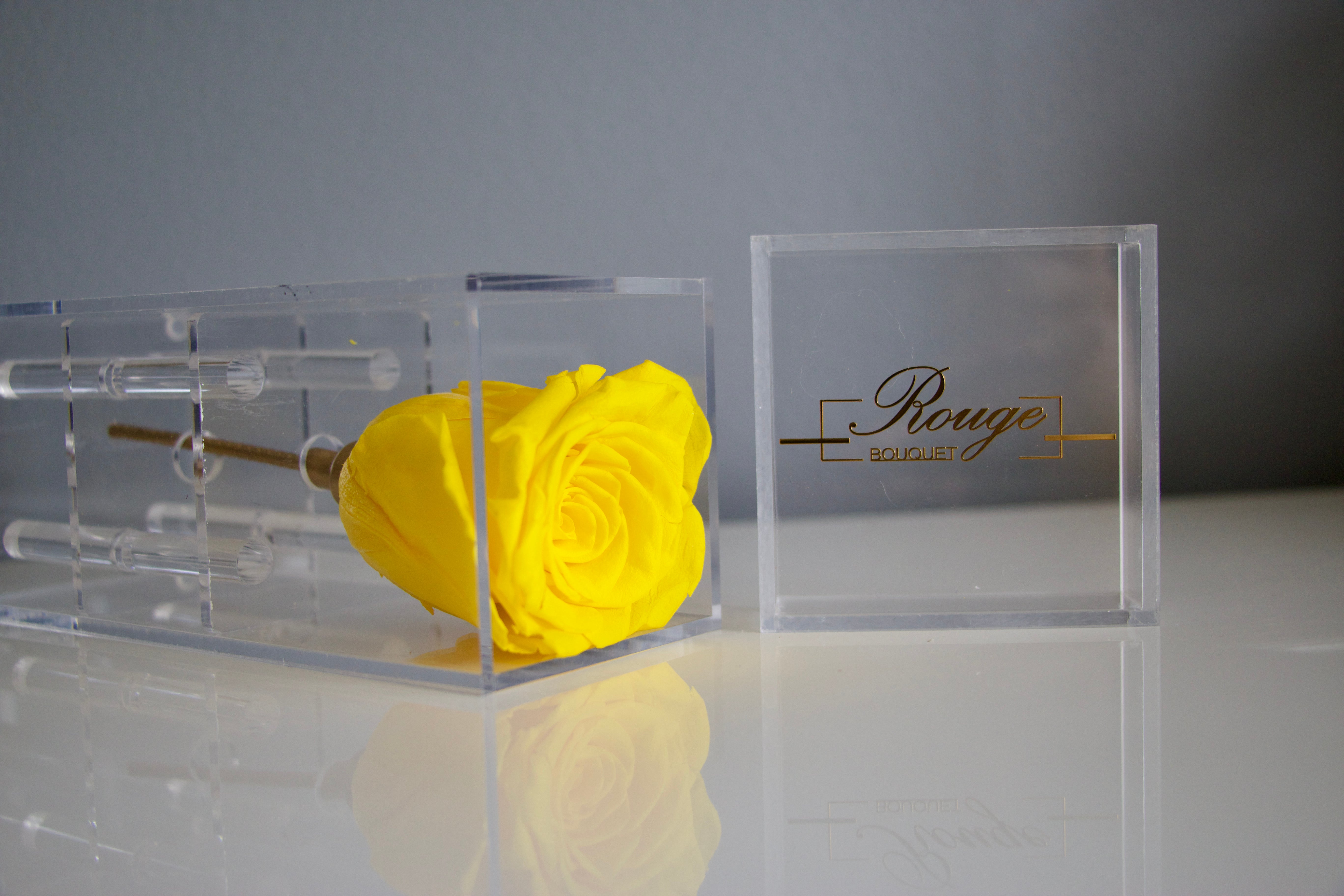 Rina Rose Petite Acrylic