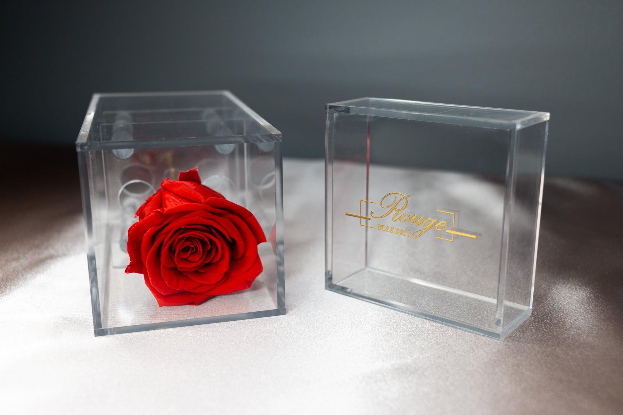 Rina Rose Petite Acrylic